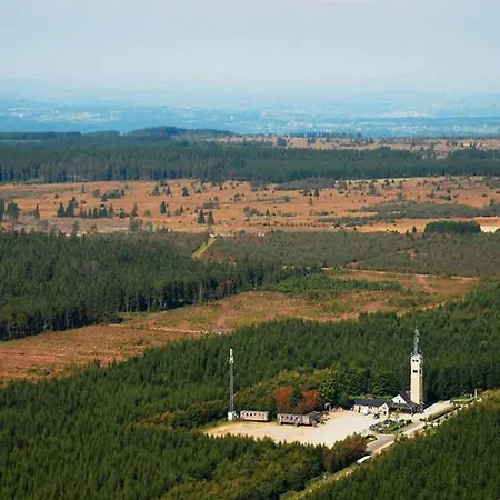 Large With Sauna, * Ovifat