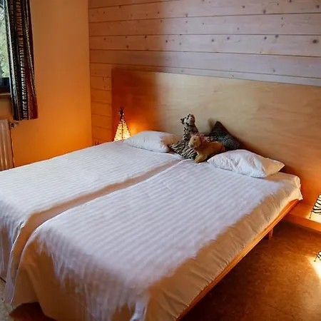 Large With Sauna, *
