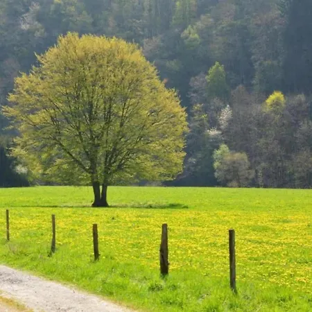 Large With Sauna, Ovifat