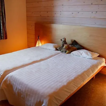 Villa Spacious In With Sauna