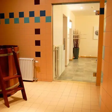 Spacious In With Sauna Villa