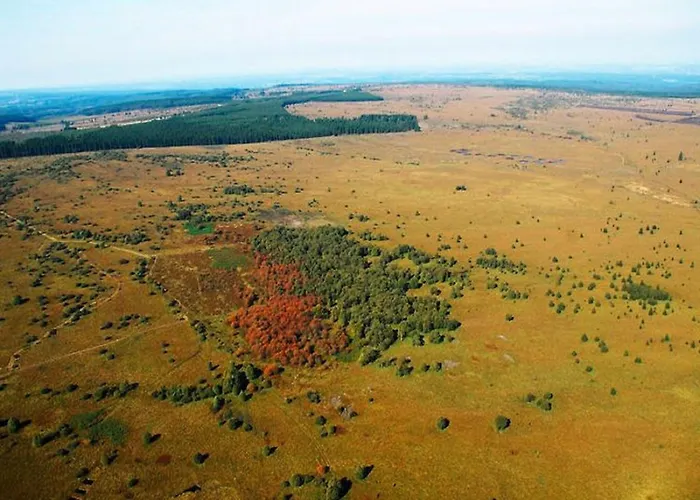 Large With Sauna, Ovifat